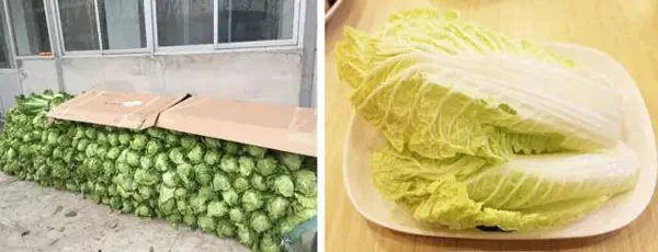 如何制定智能篮球训练计划_2